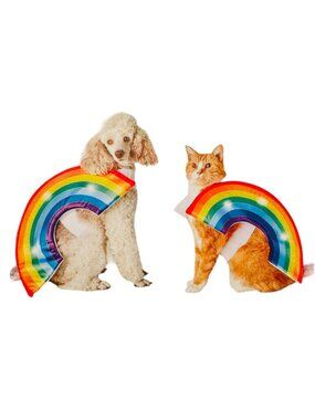 Light up rainbow Halloween Costume Size small dog and cat